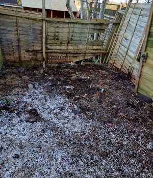 HOUSE clearance after